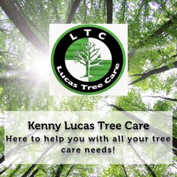 Kenny Lucas Tree Care