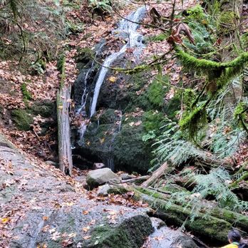 Coal Creek Falls Trail - Hiking Near Me - Newcastle, Washington Coal Creek Falls Trail - Hiking Near Me - Newcastle, Washington