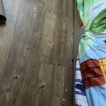 Eli’s Cleaning Service - A lil rug in the only one room they cleaned kids room moving the lil rug to mop and sweep not included - Home Cleaning Near Me Eli’s Cleaning Service - A lil rug in the only one room they cleaned kids room moving the lil rug to mop and sweep not included - Home Cleaning Near Me