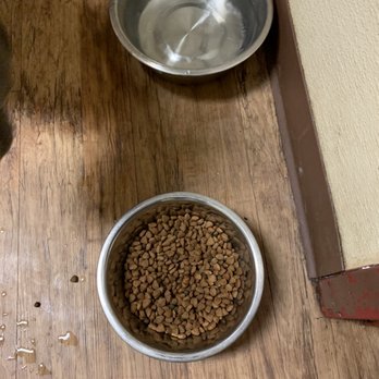 Camp Bow Wow - Wrong dog food. - Pet Training Near Me - Tulsa, Oklahoma