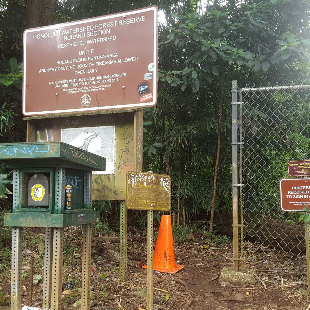 Lulumahu Falls - Entrance to Lulumahu Falls - Hiking Near Me - Honolulu, Hawaii