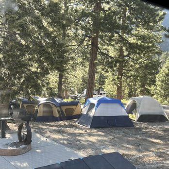 McWilliams Campground - The 2 additional tents set up on my site while we were in our camper at night. - Hiking Near Me - Las Vegas, Nevada McWilliams Campground - The 2 additional tents set up on my site while we were in our camper at night. - Hiking Near Me - Las Vegas, Nevada