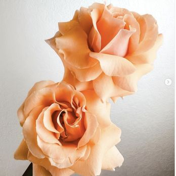 The Flower Jar - Florists Near Me - Miami, Florida The Flower Jar - Florists Near Me - Miami, Florida