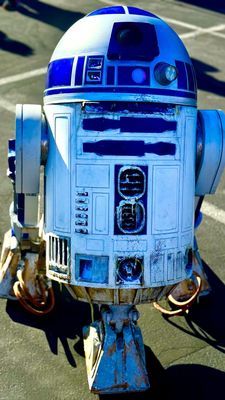 Make-A-Wish Nevada by null