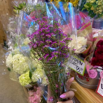 Daniel Nail Spa - Nail Salons Near Me - Menifee, California Daniel Nail Spa - Nail Salons Near Me - Menifee, California