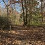 Photo of Lake Accotink Park