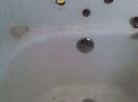 Slide of Nuckles & Son