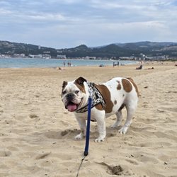 Plage de La Salvé
