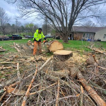 Rudy's Tree Service - a man cutting a tree - Tree Services Near Me - Shelbyville, Kentucky Rudy's Tree Service - a man cutting a tree - Tree Services Near Me - Shelbyville, Kentucky
