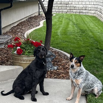 Brush, Bath and Beyond - The good life! - Pet Groomers Near Me - Bountiful, Utah Brush, Bath and Beyond - The good life! - Pet Groomers Near Me - Bountiful, Utah
