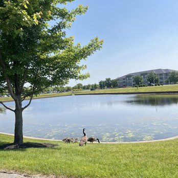 Satori Flats - Apartments Near Me - Avon, Indiana