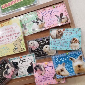 うさぎかふぇMIMI - Updated December 2025 - 60 Photos - 東池袋1-13