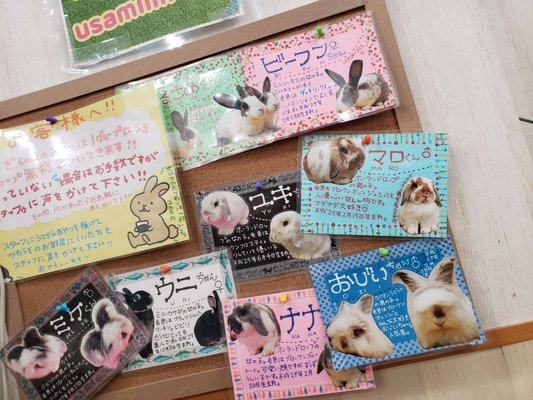 うさぎかふぇMIMI - Updated January 2026 - 60 Photos - 東池袋1-13-9