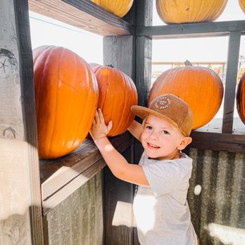 Bishop's Pumpkin Farm - What kid doesn't love a big pumpkin - Christmas Trees Near Me - Wheatland, California Bishop's Pumpkin Farm - What kid doesn't love a big pumpkin - Christmas Trees Near Me - Wheatland, California