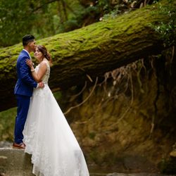 GoodEye Photography - Bride and groom over a river in the redwoods in Boulder Creek, CA