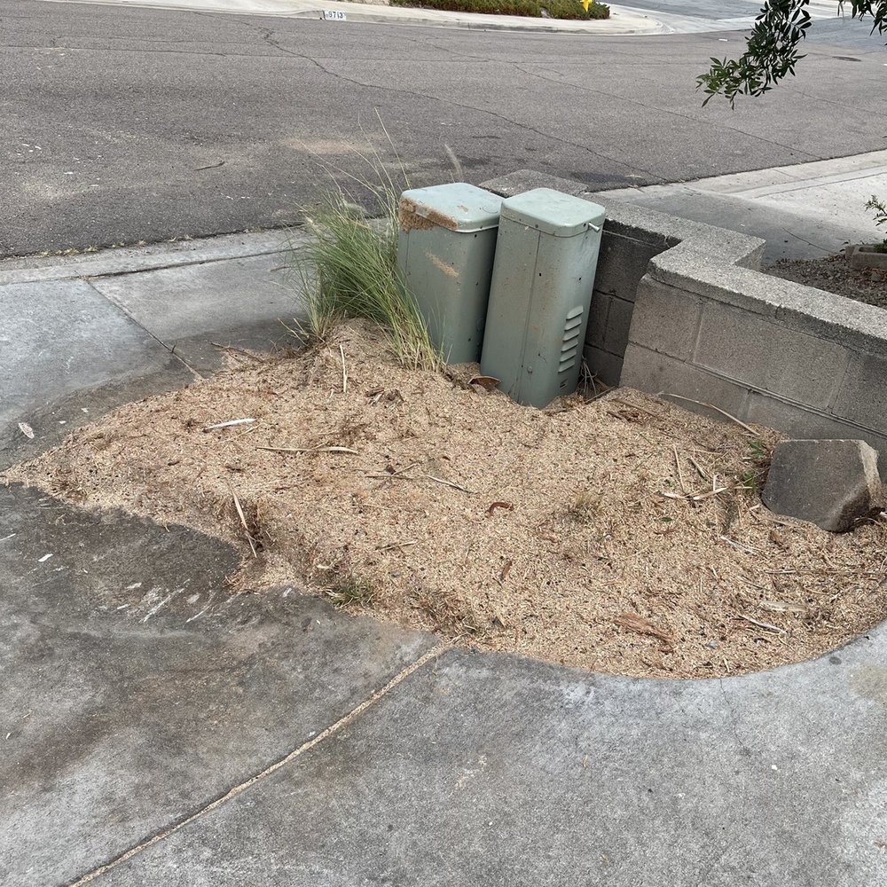 Angel's Tree Service - Final! Couldn't be happier with Angel's work. - Tree Services Near Me - Encinitas, California