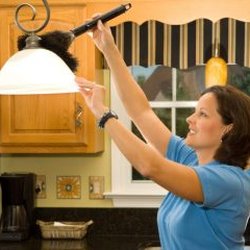 BCS Carpet Cleaning