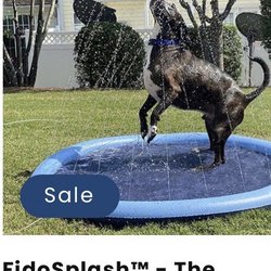 Fido Faves - FidoSplash