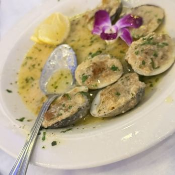 Philia Restaurant - Baked clams. Love that sauce - Mediterranean Near Me - East Meadow, New York Philia Restaurant - Baked clams. Love that sauce - Mediterranean Near Me - East Meadow, New York