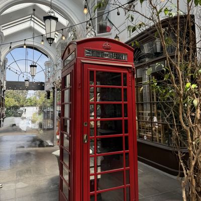 The Burlington Arcade by null