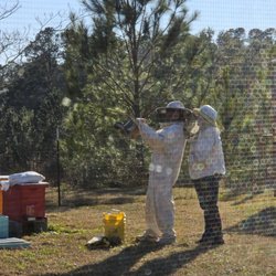 Grannykat's Apiary Supply and Bee Learning Center