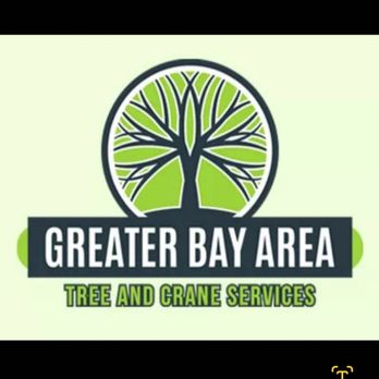 Greater Bay Area Tree & Arborist Services - Tree Services Near Me - Seminole, Florida Greater Bay Area Tree & Arborist Services - Tree Services Near Me - Seminole, Florida
