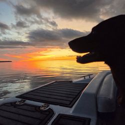 Reef Quest Eco Boat Tours - Sunset cruise is always amazing