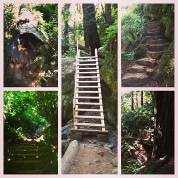 Steep Ravine Trail - 04.30.13 - Hiking Near Me