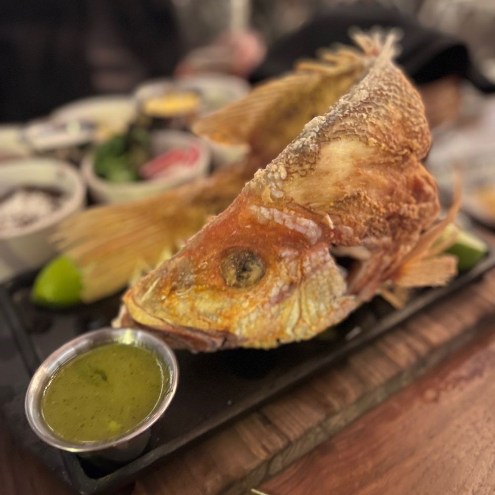 My Neighbor Felix Centennial - Whole red snapper - Mexican Near Me - Centennial, Colorado My Neighbor Felix Centennial - Whole red snapper - Mexican Near Me - Centennial, Colorado