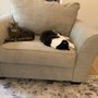 Photo of Joy Upholstery