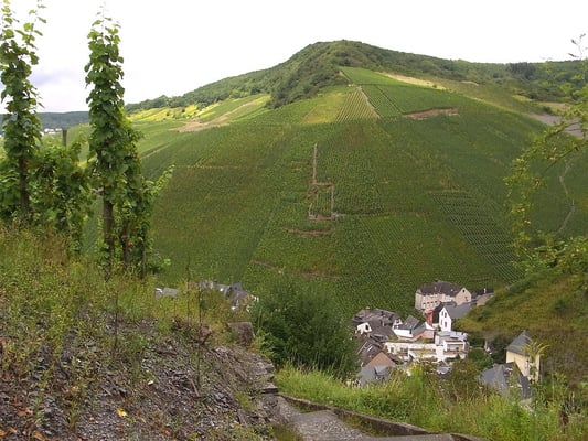 Burg Landshut by null