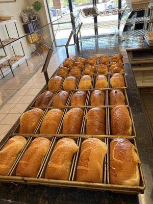 AA OZZY BAKERY by null