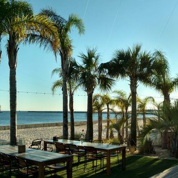 The Gulf - Great views of the Gulf - Burgers Near Me - Orange Beach, Alabama The Gulf - Great views of the Gulf - Burgers Near Me - Orange Beach, Alabama