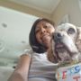 Photo of The Pampered Pet Palace