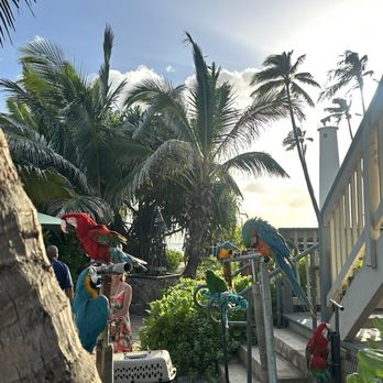 Germaine's Luau - Hawaiian Near Me - Kapolei, Hawaii