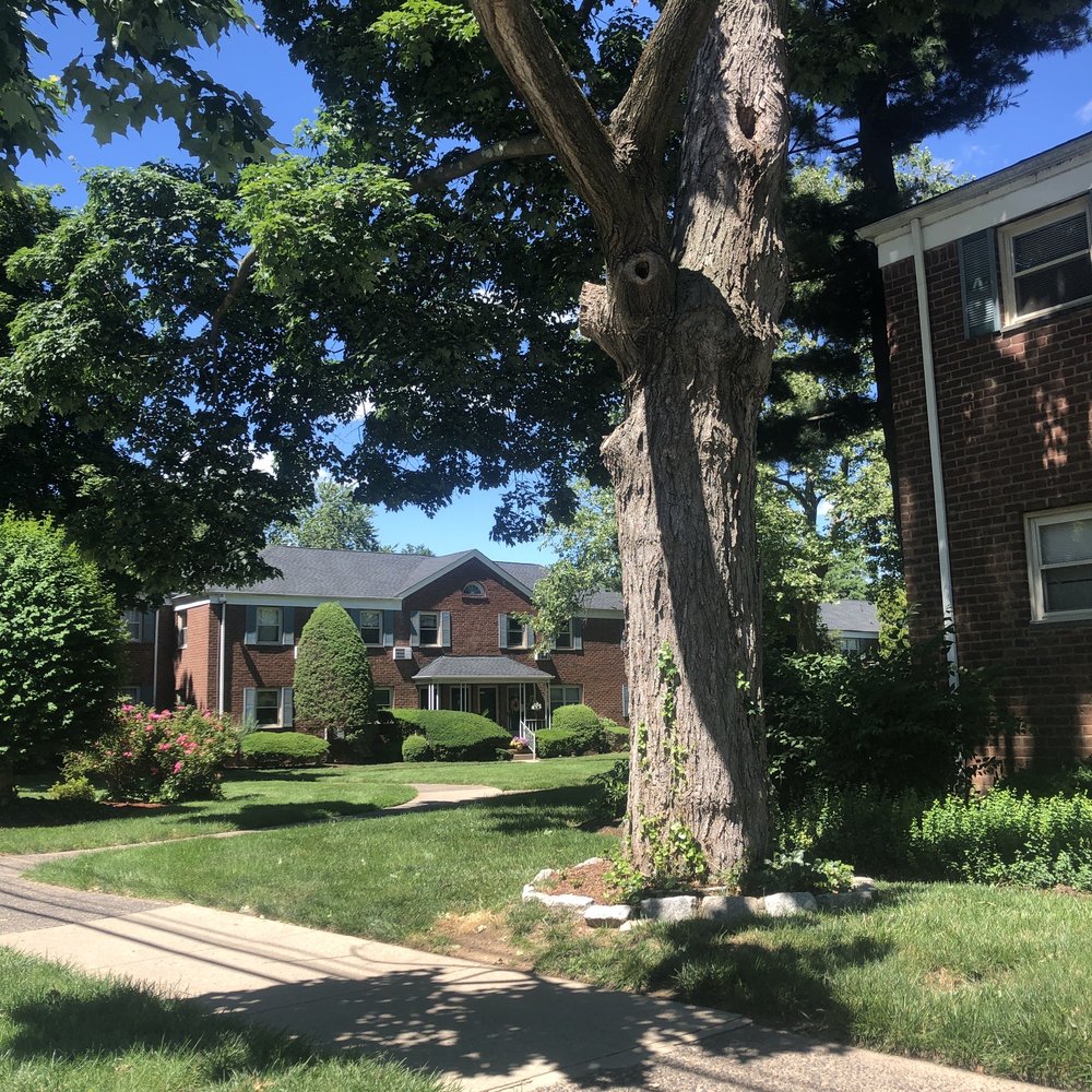 FAIRLAWN PARK ESTATES Updated October 2024 1668 Warren Rd, Fair