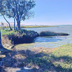 Bay Point Regional Shoreline - Bay Point Regional Shoreline