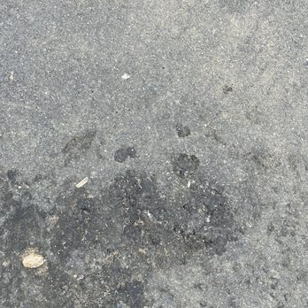 Paverscape - a dog's paw print in the middle of the pavement - Landscaping Near Me - Zionsville, Pennsylvania