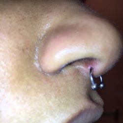 Lupitas Tattoos - This is how to NOT pierce a septum ladies and gentlemen. He pierced my cartilage and not the "sweet spot". Go elsewhere!!!!