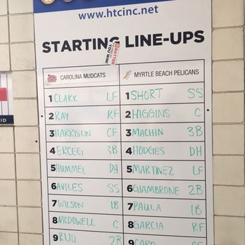Myrtle Beach Pelicans - Starting lineups; first pitch , baseball !!! - Professional Sports Teams Near Me - Myrtle Beach, South Carolina