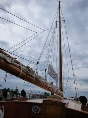 Sail Selina II by null