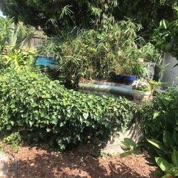 Before picture of my pond
