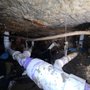 Photo of A Plus Affordable Drain Cleaning