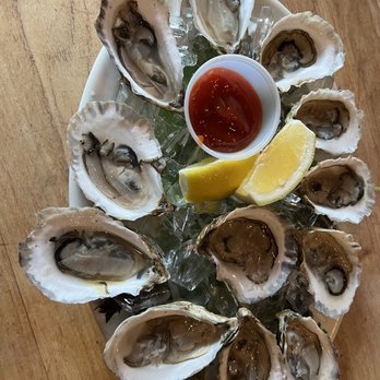 The Druid - Dollar oysters - Irish Pub Near Me - Cambridge, Massachusetts The Druid - Dollar oysters - Irish Pub Near Me - Cambridge, Massachusetts