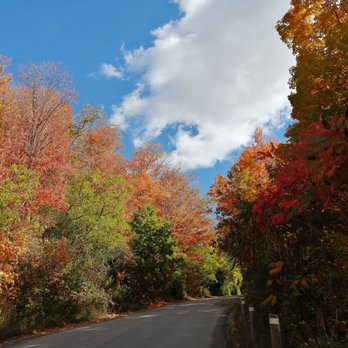 Lions Valley Park - Parks Near Me - Oakville, Ontario Lions Valley Park - Parks Near Me - Oakville, Ontario