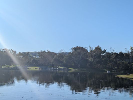 William R Mason Regional Park by null