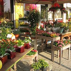 Blütenwerkstatt Prylinksi Margit