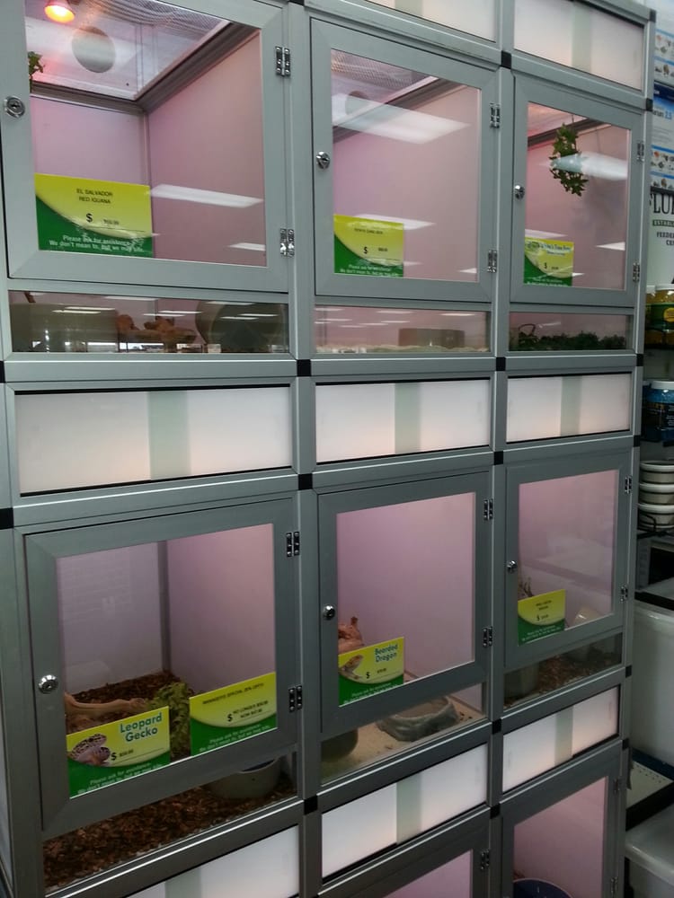 PET SUPERMARKET Updated September 2024 12 Photos & 15 Reviews 99