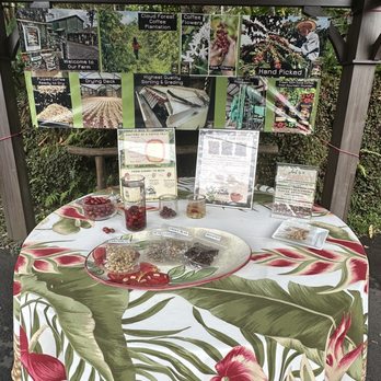 Mountain Thunder Coffee Plantation - They explain getting from the nut to roasting the bean. - Coffee & Tea Near Me - Kailua-Kona, Hawaii