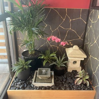 Oni Kuma - Indoor Fountain - Izakaya Near Me - Mill Valley, California Oni Kuma - Indoor Fountain - Izakaya Near Me - Mill Valley, California